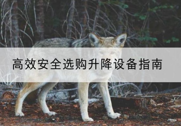 宿城升降货梯厂家推荐-*安全选购升降设备指南