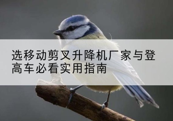 宿城电动升降机厂家-选移动剪叉升降机厂家与登高车必看实用指南