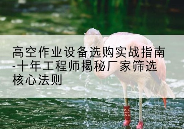 宿城剪叉式升降机厂家-高空作业设备选购实战指南-十年工程师揭秘厂家筛选核心法则